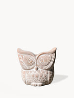Load image into Gallery viewer, Terracotta Pot - Big Eye Owl
