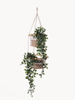 Load image into Gallery viewer, Jhuri Double Hanging Basket
