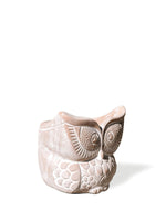 Load image into Gallery viewer, Terracotta Pot - Big Eye Owl
