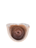 Load image into Gallery viewer, Terracotta Pot - Big Eye Owl
