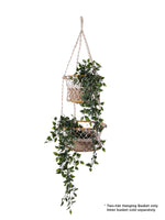 Load image into Gallery viewer, Jhuri Double Hanging Basket
