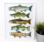 Load image into Gallery viewer, Fish Art Print- 11x14, Simple Outdoor Artwork, Animal Art, Fish Painting Print
